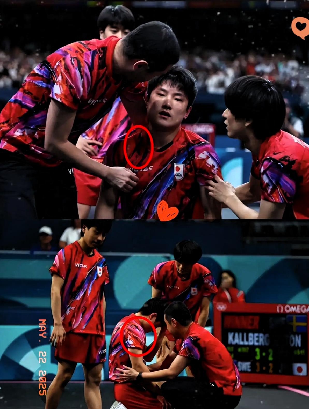 日本乒乓球队翻盘韩国乒乓球队,张本智和制霸全场的简单介绍 日本乒乓球队翻盘韩国乒乓球队,张本智和制霸全场的简单介绍