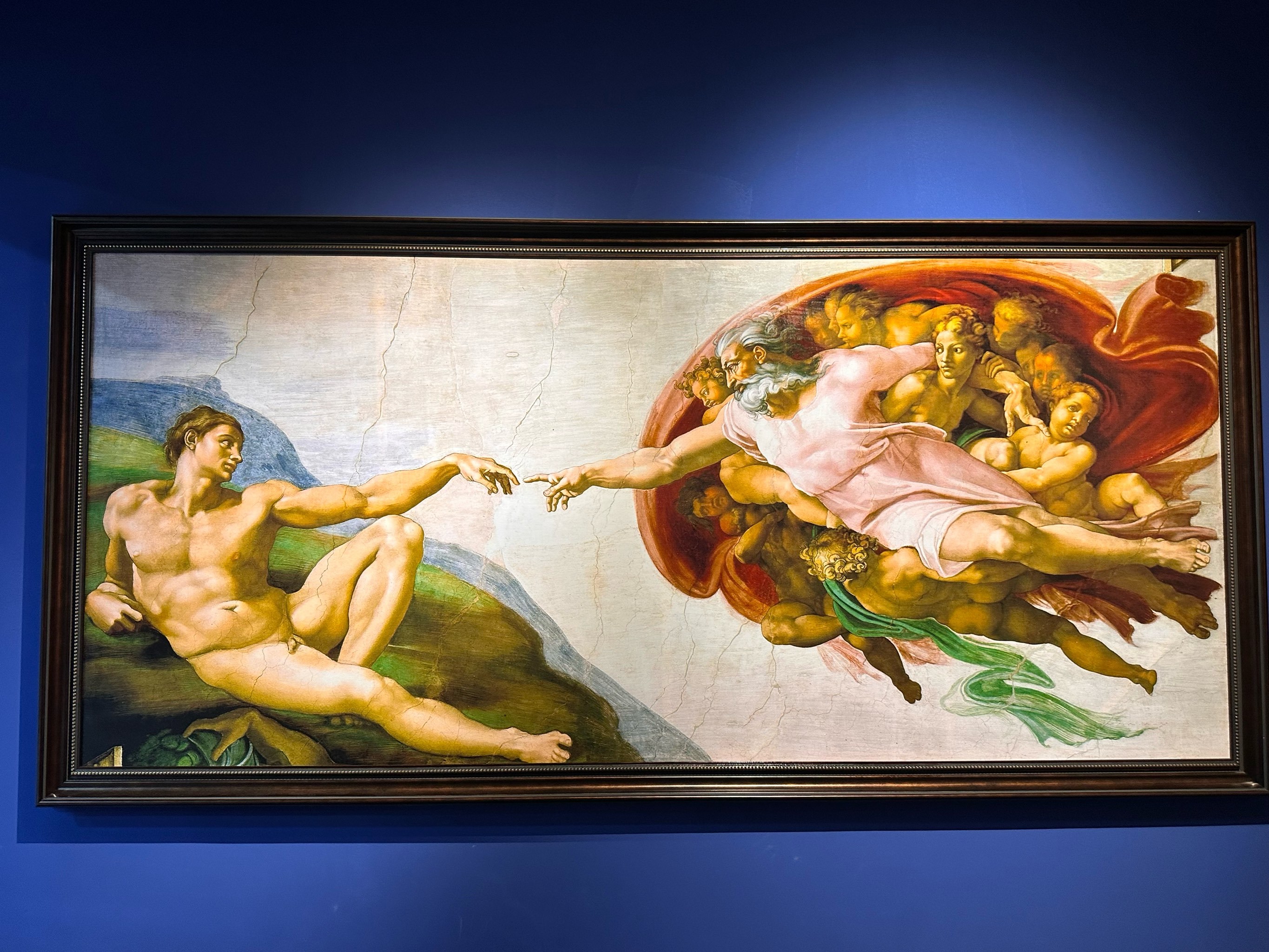 波兰力克荷兰，加维高光表现的简单介绍