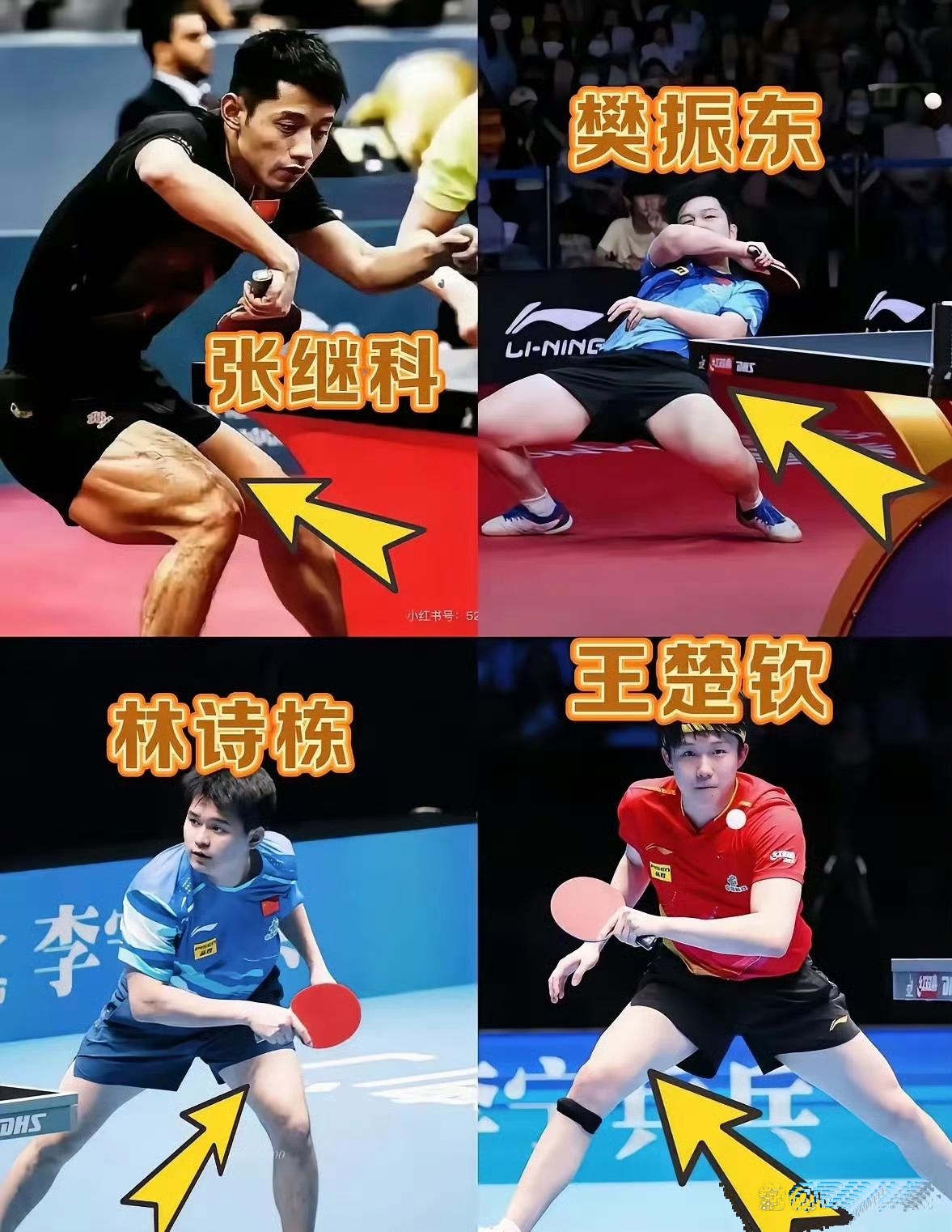 波兰乒乓球队鏖战法国乒乓球队，张继科送出助攻