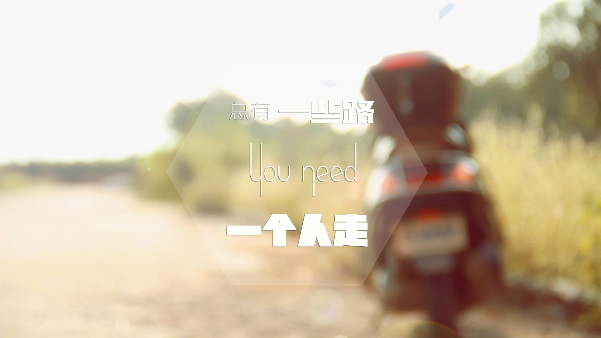 绝对主宰与惊天逆转，诺里斯完美统治下，红牛二队的策略奇迹