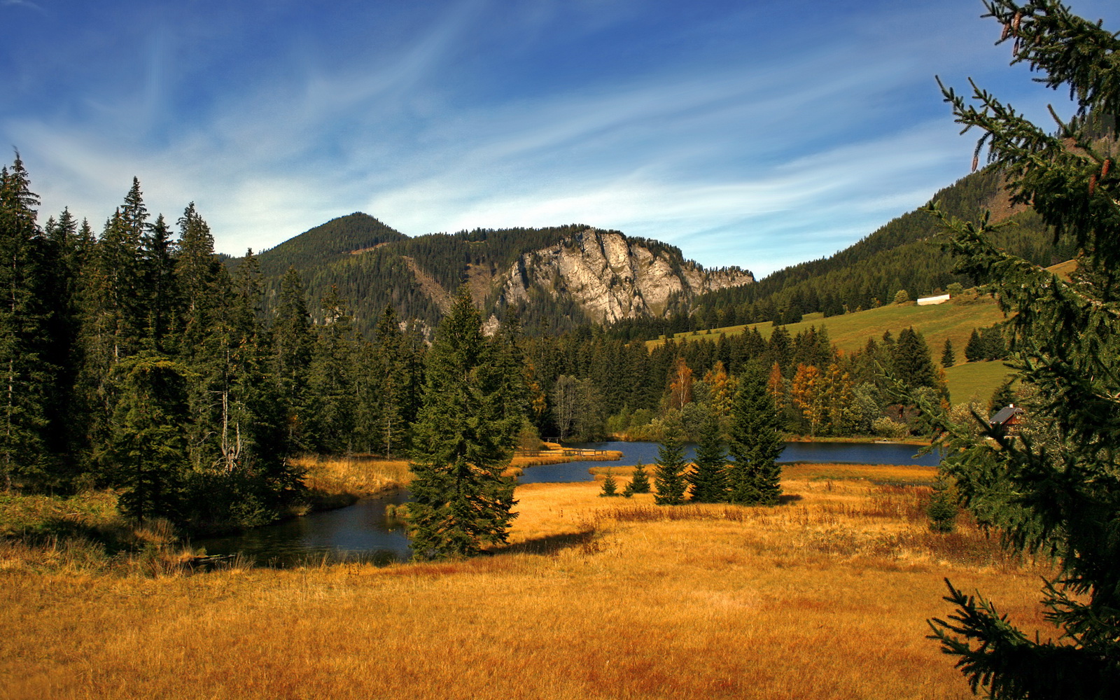 独行侠的绞杀网上,米切尔是唯一的杀手
