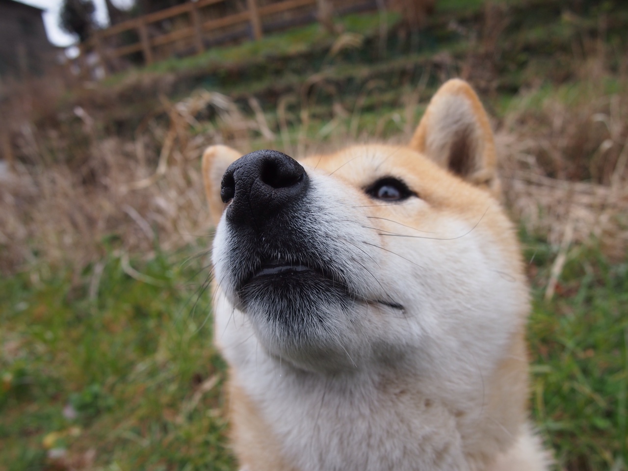 当篮球的禅意淹没赛场,克莱的归位与深圳的澄明
