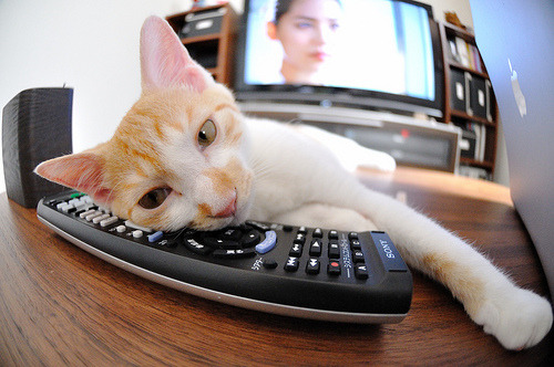 天山雪豹对决北境龙王，一场横跨两万里的篮球对话