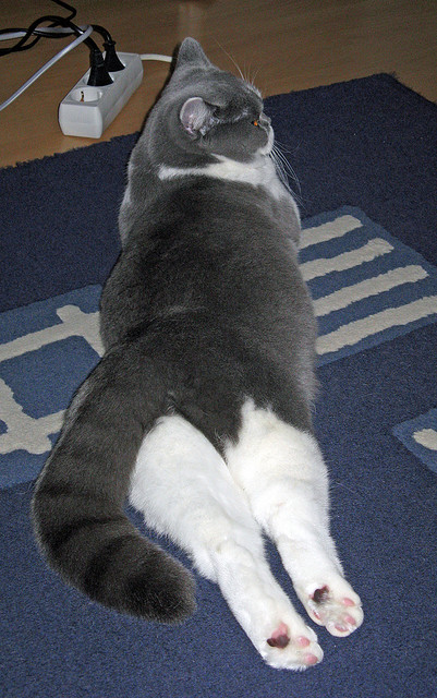 卡塞米罗终场绝杀！喀麦隆力克挪威保留晋级希望