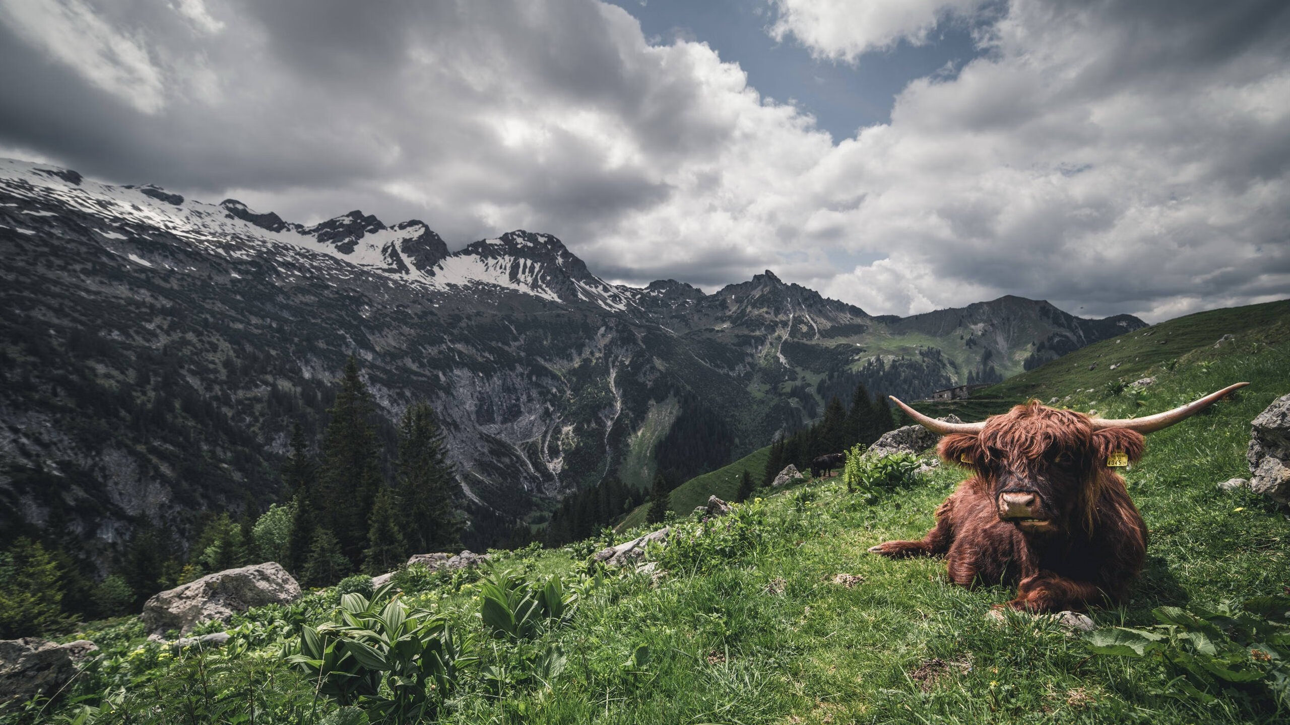 时空交错的英雄叙事，上海绝杀与莫兰特接管之夜