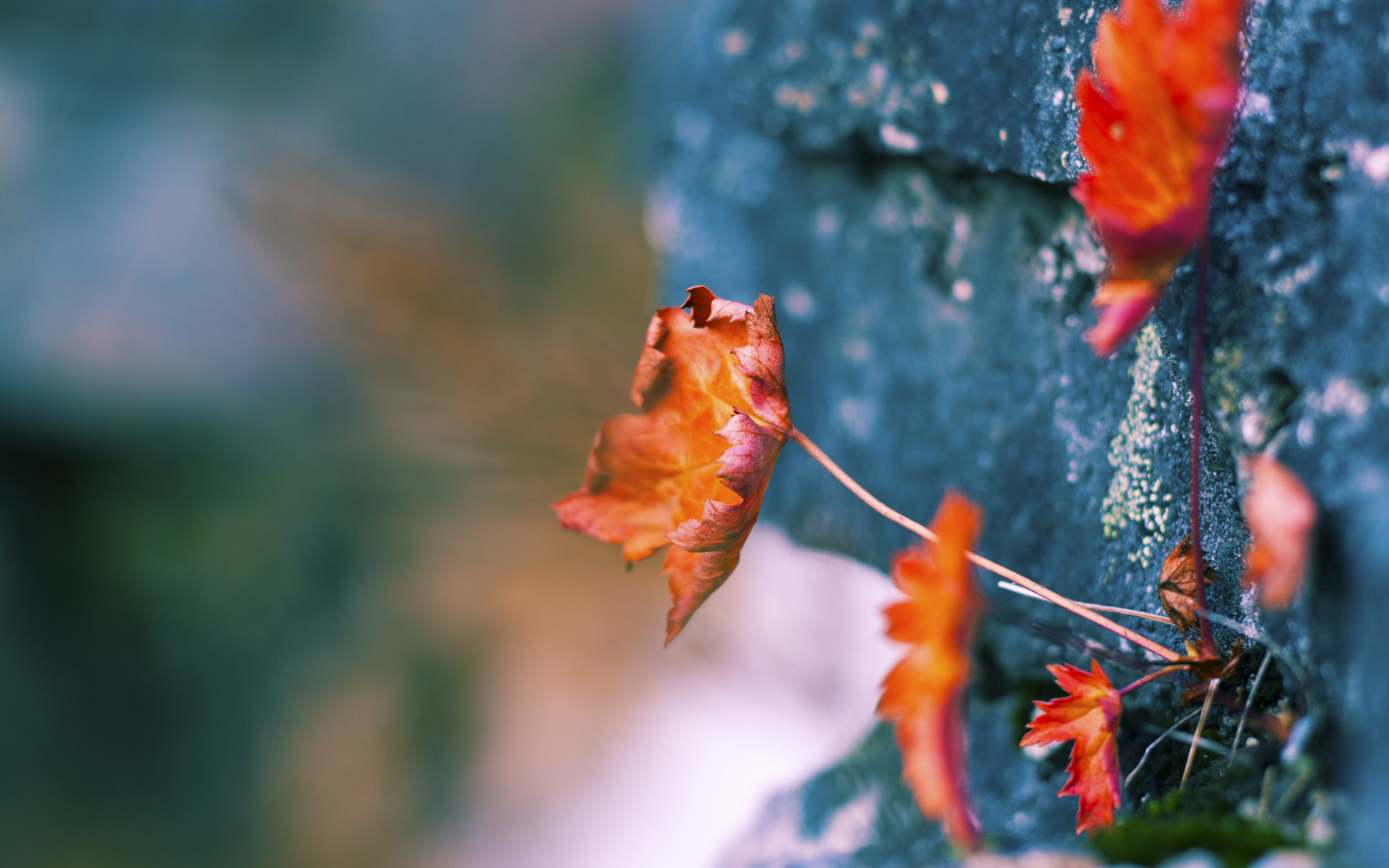 镜像之战,若日尼奥在平行宇宙的冰火对决中重写命运