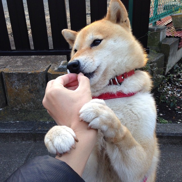 霸权延续！法国三球完胜波兰，世界杯淘汰赛的绝对统治力