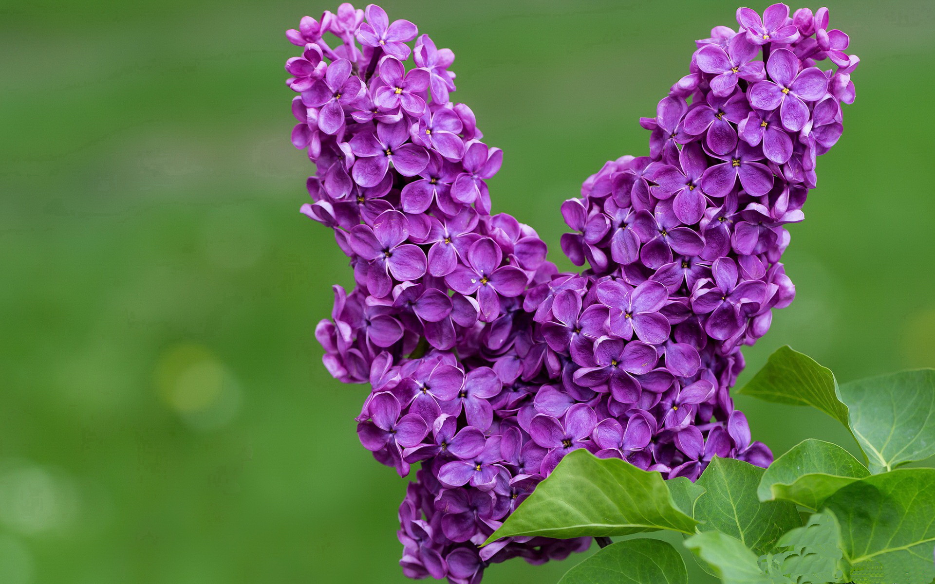 十年一瞬,双城记,当太阳在上海之巅陨落,克莱于金州风暴中重生