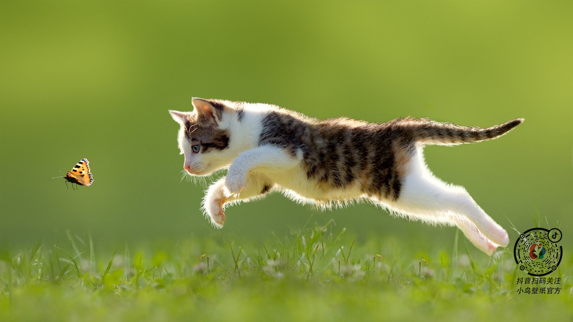 暗流与利刃,法比尼奥如何以沉默的杀伤主宰意甲焦点之夜