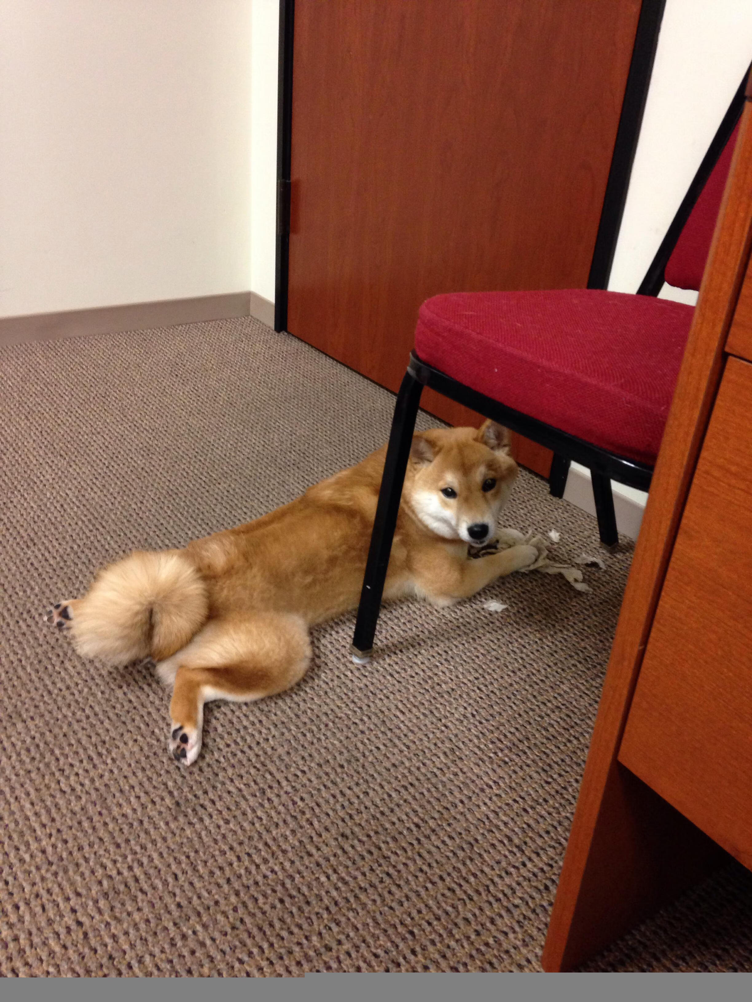 降临,当杜兰特的三分球让休斯敦的火焰提前熄灭