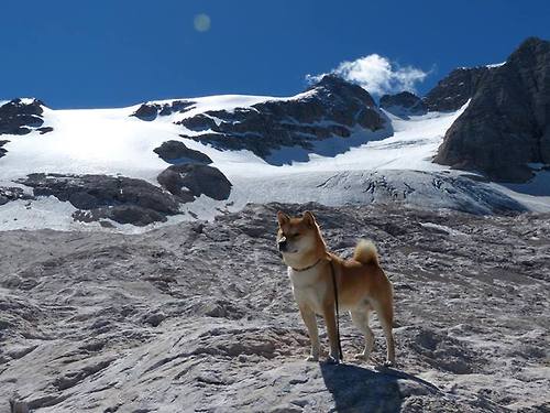 唯一性的见证,季后赛抢七焦点战,埃及正面击溃冰岛史诗