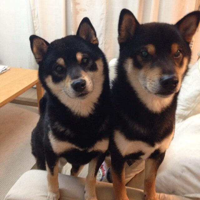 历史新章，北京队压哨绝杀勇士，年度焦点之战震撼篮坛