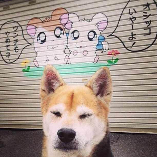 跨联赛巅峰对决,勇士粉碎广东,莫兰特关键先生定乾坤