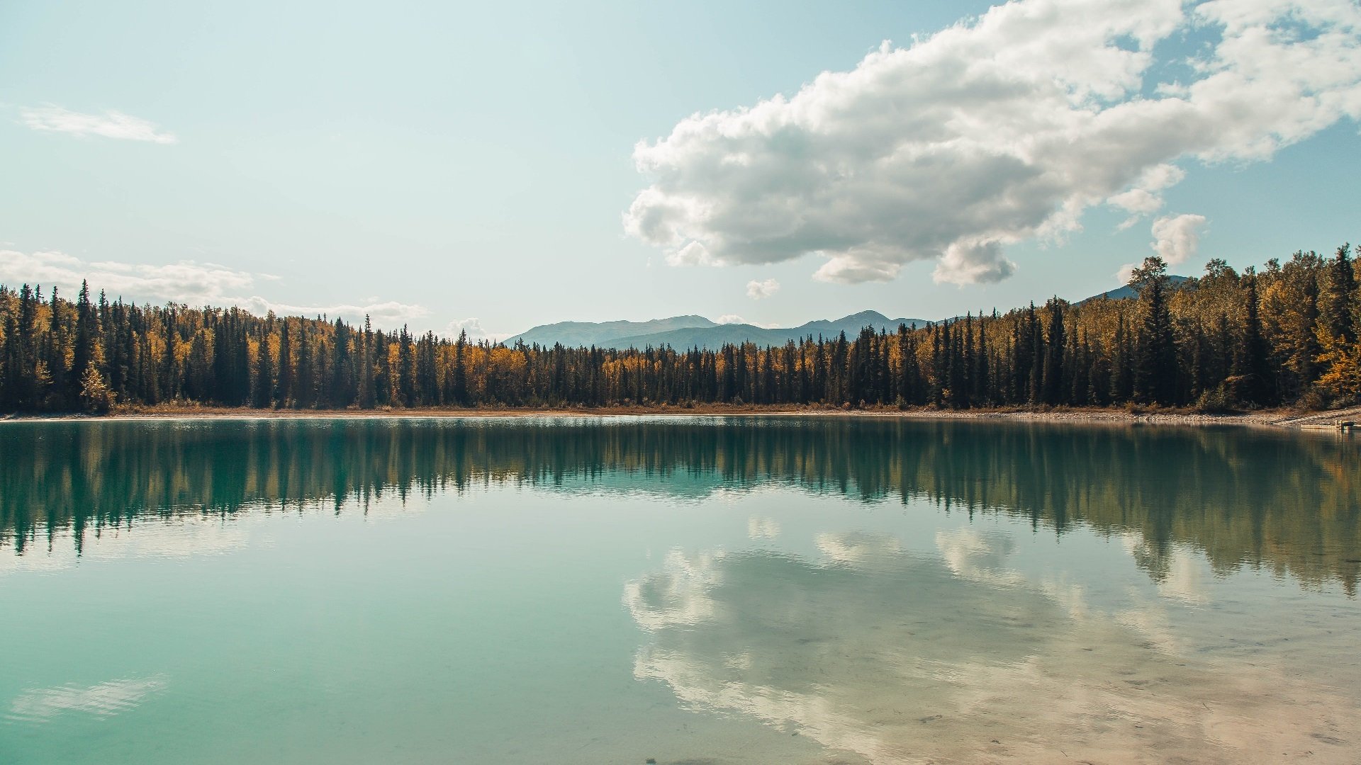 奥亚尔萨瓦尔绝杀！安哥拉一波带走委内瑞拉，关键先生诞生
